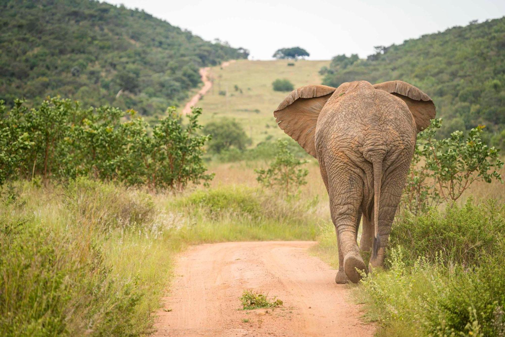 Ekuthuleni Lodge Strand Luaran gambar